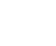 Evolution games at Vip Erspin Casino